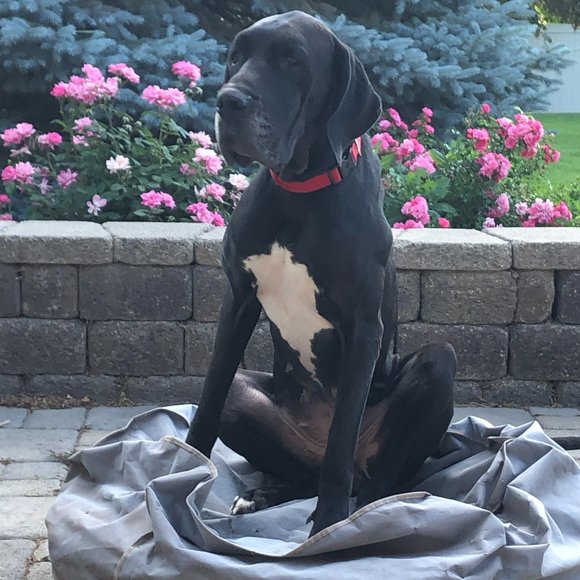 Meet your Posher, Julia - Picture 4 of 11